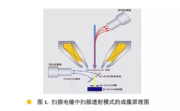 滨海扫描电镜